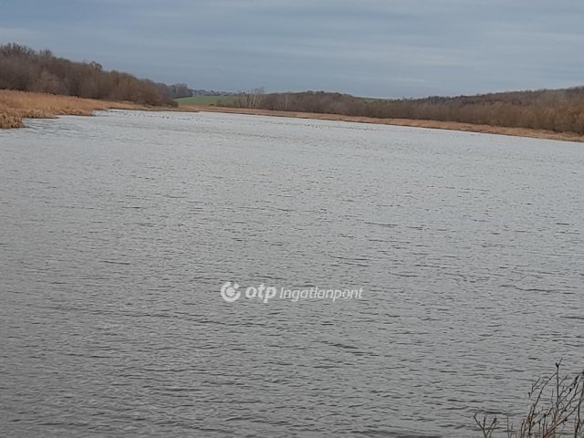 Eladó mezogazdasagi ingatlan, Úrin 400 M Ft / költözzbe.hu