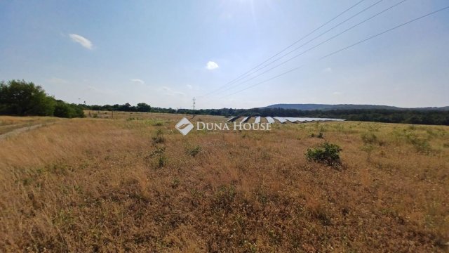 Eladó mezogazdasagi ingatlan, Balatonudvariban 39.9 M Ft