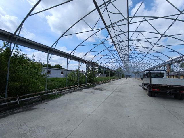 Eladó ipari ingatlan, Szegeden 65 M Ft / költözzbe.hu