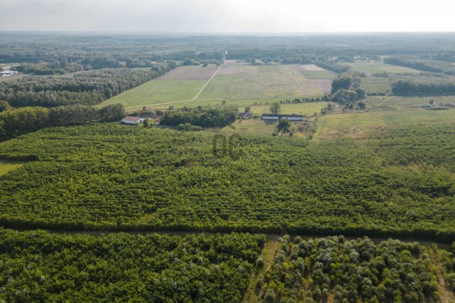 Eladó mezogazdasagi ingatlan, Ruzsán 75 M Ft