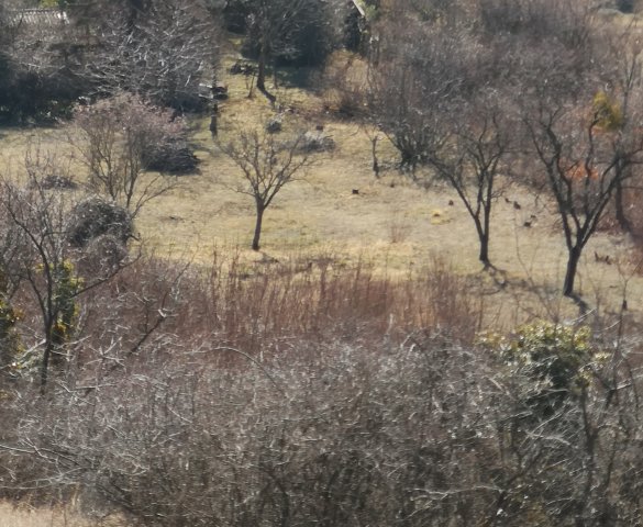 Eladó telek, Budaörsön 285.6 M Ft / költözzbe.hu