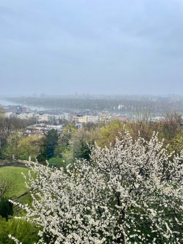 Eladó családi ház, Budapesten, II. kerületben 800 M Ft