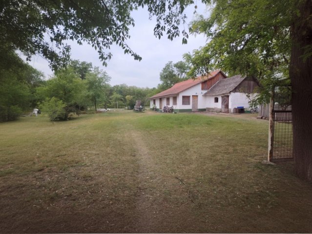 Eladó mezogazdasagi ingatlan, Csemőn 31 M Ft, 2+1 szobás