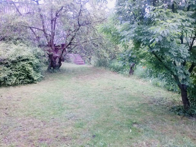 Eladó telek, Budakeszin 30 M Ft / költözzbe.hu