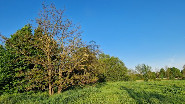 Eladó telek, Etyeken 45 M Ft / költözzbe.hu
