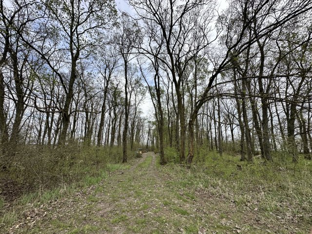 Eladó mezogazdasagi ingatlan, Szeghalmon 37.5 M Ft