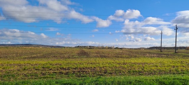 Eladó mezogazdasagi ingatlan, Székesfehérvárott 81 M Ft