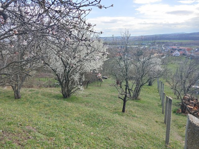 Eladó telek, Pécsett 5.9 M Ft / költözzbe.hu