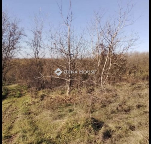 Eladó telek, Igalon 1.99 M Ft / költözzbe.hu