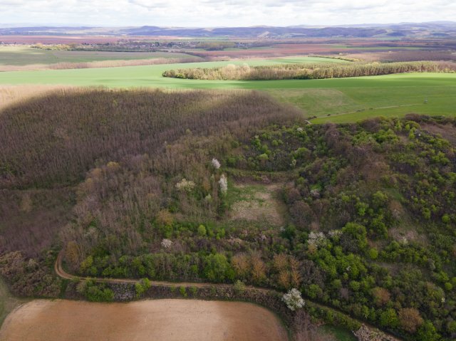 Eladó mezogazdasagi ingatlan, Bánkon 9 M Ft / költözzbe.hu