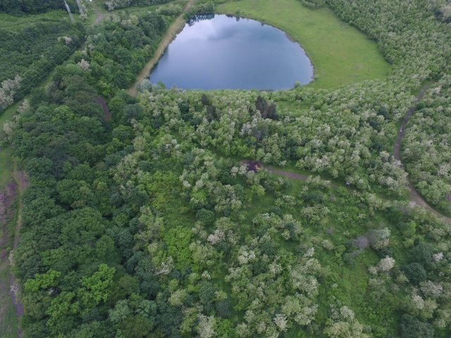 Eladó telek, Pécsett 250 M Ft / költözzbe.hu