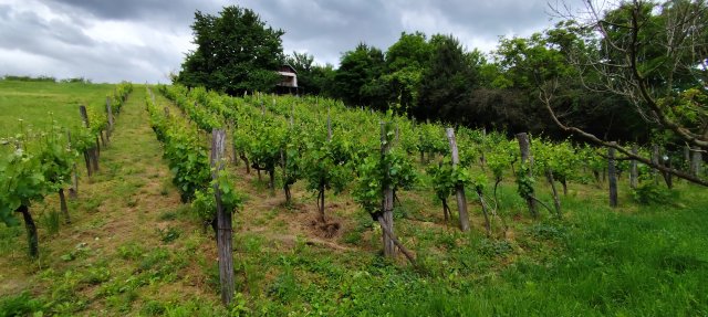 Eladó nyaraló, Zalaszentgróton 7.9 M Ft, 1 szobás