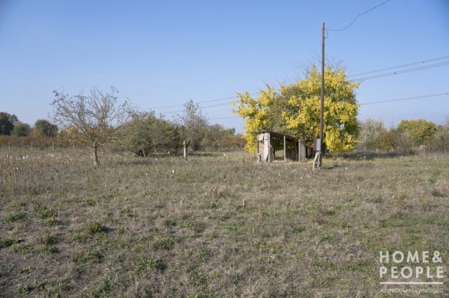 Eladó mezogazdasagi ingatlan, Szegeden 5.5 M Ft