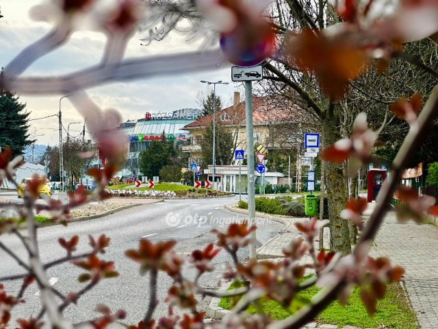 Kiadó téglalakás, albérlet, II. kerületben, Pusztaszeri úton