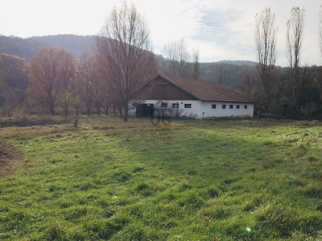 Eladó mezogazdasagi ingatlan, Budakeszin 149.9 M Ft