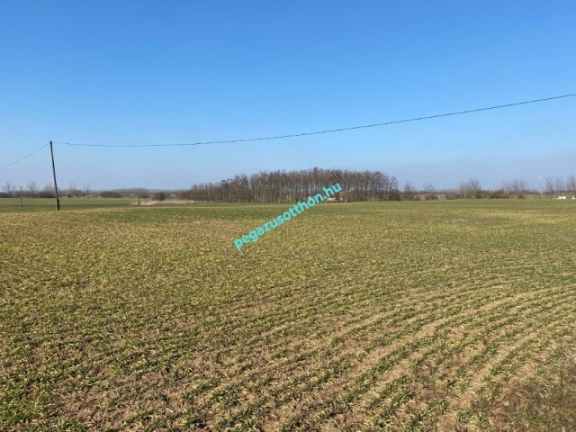 Eladó telek, Tiszaszentimrén 3.3 M Ft / költözzbe.hu