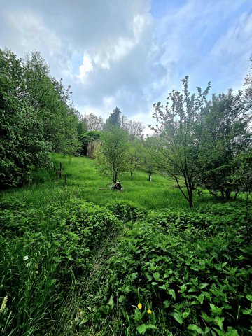 Eladó telek, Kozármislenyen 2.5 M Ft / költözzbe.hu
