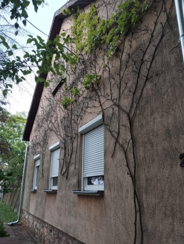 Eladó családi ház, Csanádpalotán, Petőfi utcában 21 M Ft