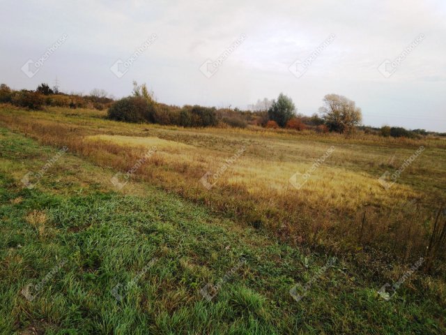 Eladó mezogazdasagi ingatlan, Berhidán 11.9 M Ft