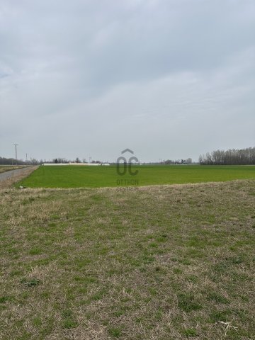 Eladó telek, Röszkén 2340.251 M Ft / költözzbe.hu