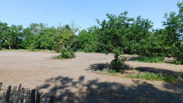 Eladó családi ház, Szatymazon 49.5 M Ft, 3 szobás