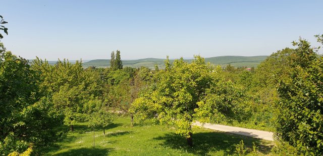 Eladó családi ház, Budakeszin 339 M Ft, 5 szobás