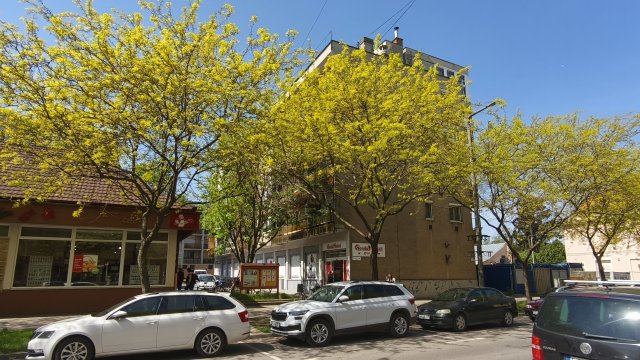 Eladó téglalakás, Hajdúböszörményen 35 M Ft, 2 szobás