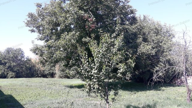 Eladó családi ház, Kéthelyen 15.9 M Ft, 2 szobás