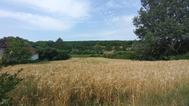 Eladó telek, Kárán 4.9 M Ft / költözzbe.hu