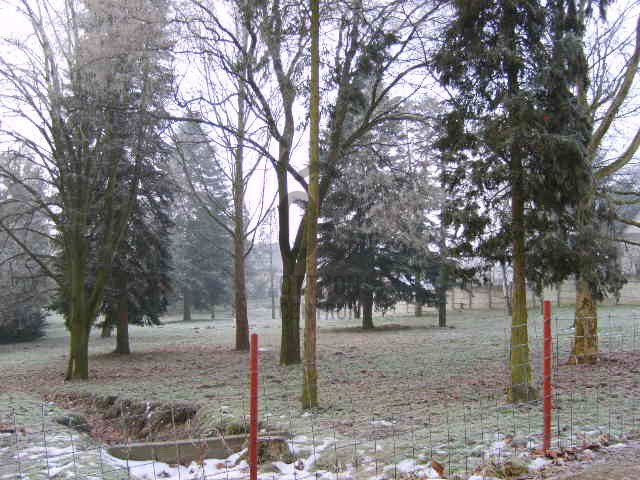 Eladó telek, Zalaegerszegen 95 M Ft / költözzbe.hu