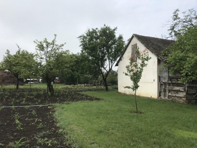 Eladó mezogazdasagi ingatlan, Szentesen 6.9 M Ft, 1 szobás