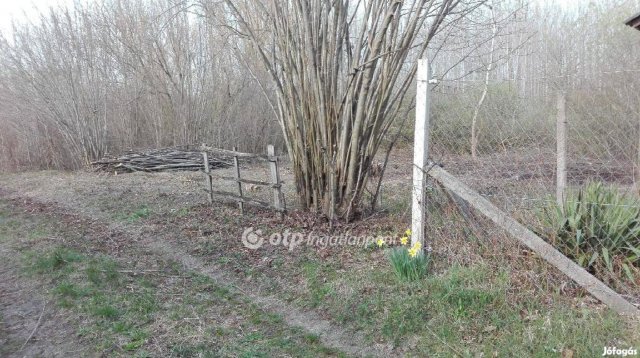Eladó telek, Ráckevén 6.5 M Ft / költözzbe.hu
