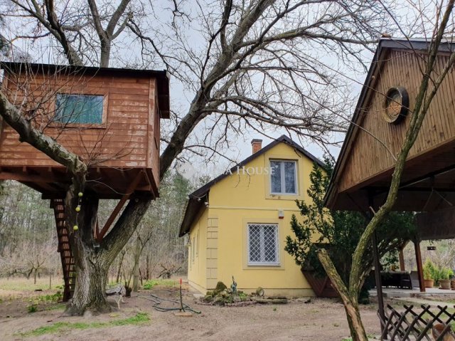 Eladó mezogazdasagi ingatlan, Ruzsán 68 M Ft, 3+1 szobás