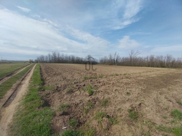 Eladó telek, Nagykőrösön 7.5 M Ft / költözzbe.hu
