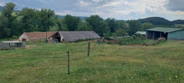 Eladó mezogazdasagi ingatlan, Mecseknádasdon 755 M Ft