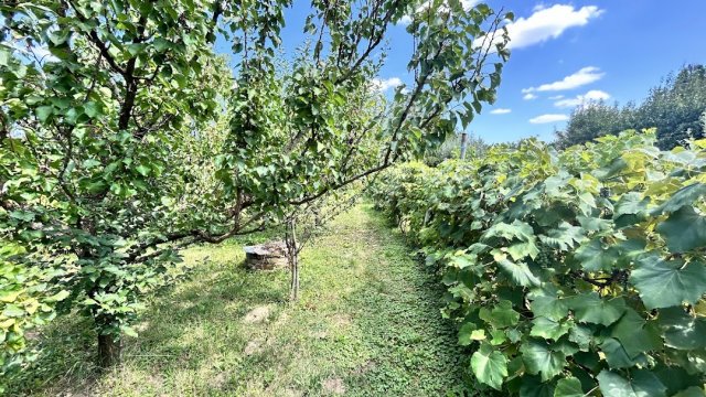 Eladó telek, Sén 4.99 M Ft / költözzbe.hu