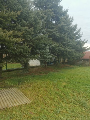 Eladó családi ház, Ipolytölgyesen 11 M Ft, 2 szobás