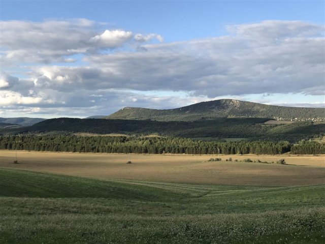 Eladó telek, Solymáron 2.9 M Ft / költözzbe.hu