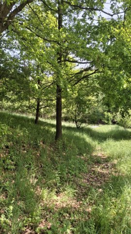 Eladó mezogazdasagi ingatlan, Parádon 3.5 M Ft
