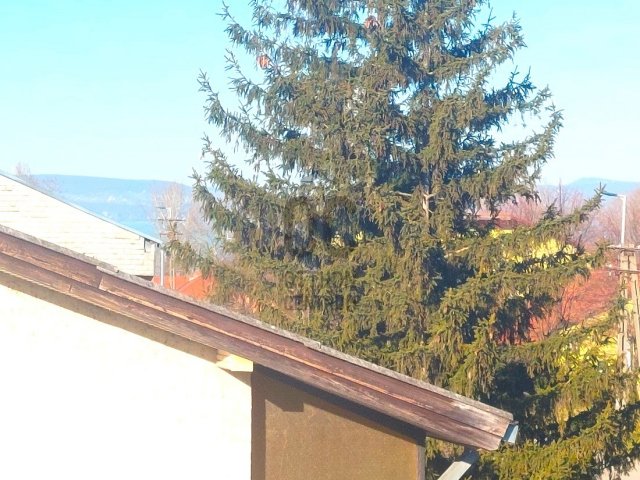 Eladó nyaraló, Balatonbogláron 25.99 M Ft, 1 szobás
