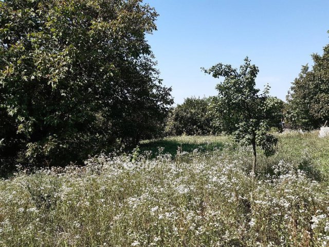 Eladó családi ház, Vácszentlászlón 18 M Ft, 4 szobás