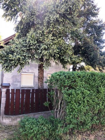 Eladó családi ház, Lakitelken 42.9 M Ft, 3 szobás