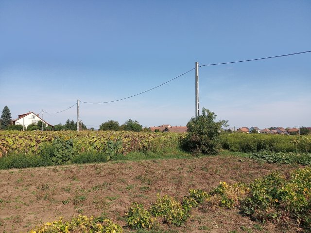 Eladó telek, Dányon 2.99 M Ft / költözzbe.hu