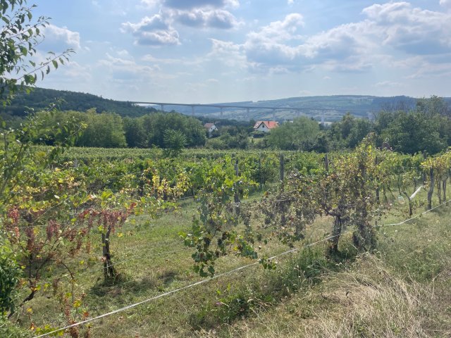 Eladó telek, Kőröshegyen 29.9 M Ft / költözzbe.hu