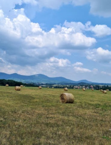 Eladó telek, Diósjenőn 4.1 M Ft / költözzbe.hu