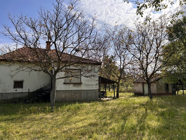 Eladó családi ház, Cegléden 17.9 M Ft, 1 szobás