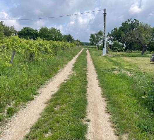Eladó telek, Balatoncsicsón 45 M Ft / költözzbe.hu