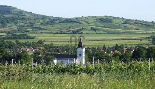 Eladó telek, Bodrogkeresztúron 60 M Ft / költözzbe.hu