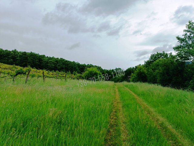 Eladó telek, Szendehelyen 5.5 M Ft / költözzbe.hu