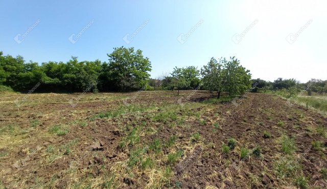 Eladó családi ház, Nagykörűn 16.5 M Ft, 3 szobás